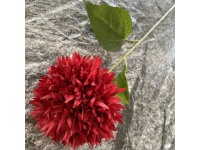 z Kwiat CHRYZANTEMA POSTRZĘPIONA wys. 55 cm kwiat 10 cm - CZERWONA