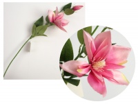 Kwiat CLEMATIS łodyga wys. 56 cm główka 12 cm + pąk RÓŻOWY