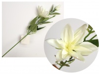 Kwiat CLEMATIS łodyga wys. 56 cm główka 12 cm + pąk BIAŁY