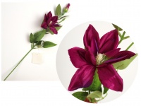 Kwiat CLEMATIS łodyga wys. 56 cm główka 12 cm + pąk FIOLETOWY