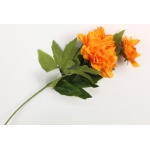 Kliknij aby zobaczyć zdjęcie w oryginalnej wielkości