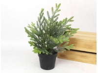 Kwiat, drzewko silikonowe PE CYPRYS w doniczce wys. 27 cm ZIELONY posrebrzany