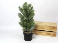 Kwiat, drzewko sailikonowe PE JODŁA ośnieżona w doniczce 35 cm