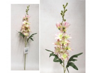 Kwiat FREZJA wys. 50 cm kwiat 25 cm - RÓŻOWO-KREMOWY cieniowany