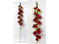 Kwiat FREZJA wys. 80 cm (10 główek 5-8 cm) BORDOWY