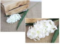 Kwiat HIACYNT pojedynczy 59 cm (kwiat 13x7 cm) - BIAŁY