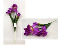 Kwiat IRYS wys. 58 cm, 3 ramiona (2 kwiaty 16-10 cm, pąk) RÓŻÓWY CIEMNY