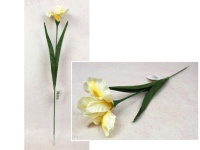 Kwiat IRYS wys. 59 cm ( kwiat 11x7 cm) BRZOSKWINIOWY cieniowany