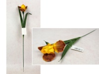 Kwiat IRYS wys. 59 cm ( kwiat 11x7 cm) POMARAŃCZOWO-RUDY