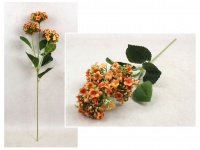 Kwiat KALANCHOE 62 cm 3 kwiaty 8x5 cm POMARAŃCZOWY