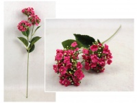 Kwiat KALANCHOE 62 cm 3 kwiaty 8x5 cm RÓŻOWY