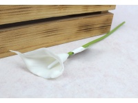 Kwiat KALIA gumowa wys. 31 cm (kwiat 8x5 cm) BIAŁA