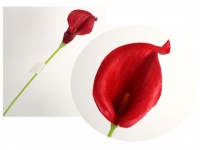 Kwiat KALIA PIANKOWA wys. 37 cm (kwiat 10x6 cm) CZERWONA