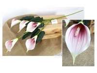 Kwiat KALIA piankowa wys. 86 cm (5 główek 13x7,5 cm) BIAŁO FIOLETOWA