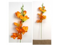 Kwiat MIECZYK wys. 55 cm (6 kwiatów 2,5-10 cm) POMARAŃCZOWY Z ŻÓŁTYM ŚRODKIEM