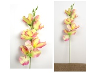 Kwiat MIECZYK wys. 55 cm (6 kwiatów 2,5-10 cm) RÓŻOWO ŻÓŁTY