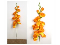 Kwiat MIECZYK wys. 63 cm (8 kwiatów 2,5-12 cm) POMARAŃCZOWY Z ŻÓŁTYM ŚRODKIEM