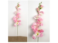 Kwiat MIECZYK wys. 63 cm (8 kwiatów 2,5-12 cm) RÓŻOWY Z BIAŁYM ŚRODKIEM