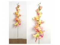 Kwiat MIECZYK wys. 63 cm (8 kwiatów 2,5-12 cm) RÓŻOWY CIENIOWANY