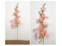 Kwiat MIECZYK wys. 63 cm (8 kwiatów 2,5-12 cm) RÓŻOWO ZIELONY