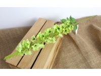 Kwiat OSTRÓŻKA wys. 61 cm (kwiat 30x7 cm) ZIELONA