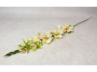 Kwiat OSTRÓŻKA wys. 76 cm (10 kwiatów 7-3,5 cm) BRZOSKWINIOWA