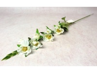 Kwiat OSTRÓŻKA wys. 78 cm (8 kwiatów 6x2 cm) BIAŁY