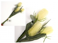 Kwiat, pęczek OSET, karczoch wys. 37 cm, 3 łodygi (kolba 7-5 cm) BIAŁY
