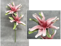 Kwiat piankowy MAGNOLIA DWIE GŁÓWKI wys. 75 (kwiat 35 cm) RÓŻOWY
