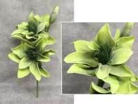 Kwiat piankowy MAGNOLIA DWIE GŁÓWKI wys. 80 cm (2 kwiaty 37 cm, 1 pąk) OLIWKOWY (ciemny środek)