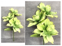 Kwiat piankowy MAGNOLIA wys. 80 cm (3 kwiaty 30-38 cm) ZIELONY
