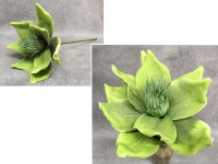 Kwiat piankowy MAGNOLIA wys. 55 (kwiat 35x18 cm) OLIWKOWY