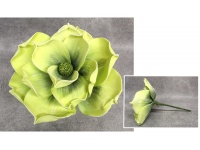 Kwiat piankowy MAGNOLIA wys. 30 (kwiat 30 cm) ZIELONY