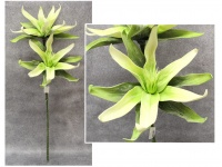 Kwiat piankowy MAGNOLIA DWIE GŁÓWKI wys. 100 (kwiat 35 cm) ZIELONY