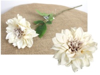 Kwiat pojedynczy DALIA wys. 61 cm (kwiat 14x5 cm) ECRU z szarym środkiem