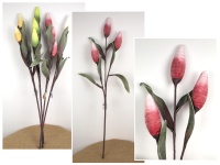 Kwiat piankowy pojedynczy OWOC MAGNOLII GIGA wys. 115 cm (główka 16x6 cm) mix kolor