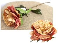 Kwiat pojedynczy PIWONIA wys. 69 cm (kwiat 16x6 cm) RUDA cieniowana