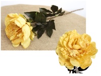 Kwiat pojedynczy PIWONIA wys. 69 cm (kwiat 16x6 cm) ŻÓŁTA cieniowana