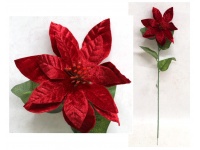 Kwiat pojedynczy POINSECJA welurowa, Gwiazda Betlejemska wys. 68 cm (kwiat 16x4 cm) CZERWONA