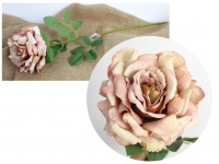 Kwiat pojedynczy RÓŻA wys. 65 cm (kwiat 14 cm) HERBACIANA