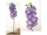Kwiat pojedynczy STORCZYK wys. 80 cm (8 kwiatów 9,5x11 cm) FIOLETOWY