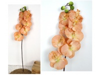 Kwiat pojedynczy STORCZYK wys. 80 cm (8 kwiatów 9,5x11 cm) HERBACIANY