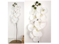 Kwiat pojedynczy STORCZYK wys. 80 cm (8 kwiatów 9,5x11 cm) BIAŁY