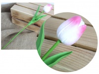 Kwiat pojedynczy TULIPAN piankowy wys. 34 cm (kwiat 4,5x3,5 cm) RÓŻOWO BIAŁY