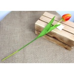 Kliknij aby zobaczyć zdjęcie w oryginalnej wielkości
