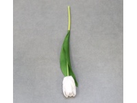 Kwiat pojedynczy TULIPAN gumowy wys. 35 cm (główka 6x3,5 cm) BIAŁY - 1 szt