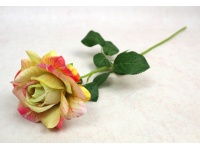 Kwiat RÓŻA pojedyncza wys. 58 cm (kwiat 11x5 cm) ŻÓŁTO-RÓŻOWA cieniowana