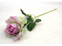 Kwiat RÓŻA pojedyncza wys. 58 cm (kwiat 11x5 cm) ZIELONO-RÓŻOWA cieniowana