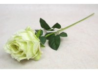 Kwiat RÓŻA pojedyncza wys. 62 cm (kwiat 8x7 cm) jasno ZIELONA