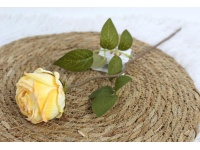 Kwiat RÓŻA pojedynczy, zasuszony wys. 38 cm (kwiat 6x4 cm) ŻÓŁTY